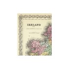 Historic Map - Ireland - Colton 1856 - Vintage Wall Art