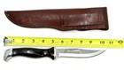 Vintage Cutco 1769 Jg Serrated Hunting Knife  W  Leather Sheath  Made In Usa
