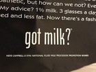 Vintage 1996 Neve Campbell Got Milk  Large 30 X 23   Large Subway Poster