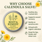 Calendula Salve Organic     Soothing Herbal Balm For Dry Skin  Minor Cuts  Cracked