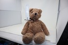 Vintage 1990 Ty 17  Plush Beanie Buddy Teddy Bear    curly    Stuffed Animal