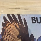 Original 1981 Buick Sales Brochure   67 Pages   9  X 13  Used