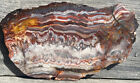 Serape Jasper Serape Lace With Sagenite  6 x3 5  Agate Jasper Rough Slab