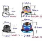 6pcs Titanium Nuts M6 M8 M10 M12 Flange Hex Ti Alloy Nut With Metal Lock Grade 5
