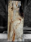 Xl Mind Blowing Hardwood Ambrosia Maple Maple Burl Wood Epoxy Wood  Craft Wood