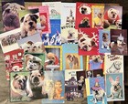 Bulldog Themed Bull Dog Greeting Cards Some Used Lot Of 28 Cards Christmas Etc