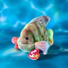      Coral The Fish        Ty Beanie Baby   Tie Dyed Rainbow   Born March 2