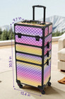 Rolling Makeup Train Case Large Cosmetic Trolley 4 In 1 Travel Organizer Pro 