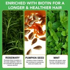 3in1 Hair Growth Shampoo conditioner With Pumpkin Seed Oil  Rosemary Oil   Mint