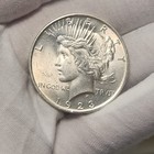1923 P Peace Silver Dollar  1 Us Coin Choice Bu Uncirculated P23db5