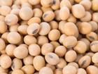Soy Beans - Dry Yellow Soya Beans For Tofu Soy Milk 1kg 2kg 5kg 10kg 20kg 30k