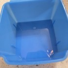 Vintage Kraft Cheese Singles Container Red And Ned It   s My Cheese Promo Blue Box