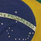 Vintage Cloth Brazilian Flag Distressed Cotton Antique Brazil Textile Art Decor