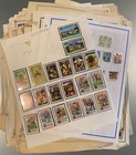 Worldwide Stamps Thousands On Pages 12x12x6 Box Stuffed Many Mint better L-1956