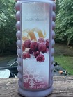 Avon Bubble Delight Winter Classic Frosted Winter Berry Bubble Bath 24fl Oz New