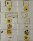 Vintage Microscope Slides Lot 22 Unlabeled Prepared Specimens Biology Lab
