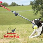 Tether Tug V2 Outdoor Dog Toy Interactive Tugging Pull Exercises Up To 70 Lbs