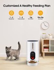 Automatic Cat Feeder  4l Dog Food Dispenser With Stainless Steel Bowl  Timed    