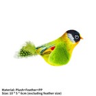 Bird Teaser Kitten Cat Toy With Bird Chirping Plush Interactive Training Toys Jq