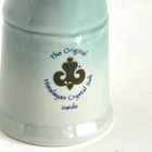 The Original Salt Company Himalayan Salt Inhaler Allergies   Sinus Support Read