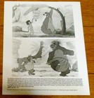 1990 Disney s  The Jungle Book  Movie Press Kit W 1 Photo   Screening Invitation