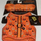 Thrills   Chills Kitten Cat Costume Comfort Harness Leash Pumpkin Halloween 101c