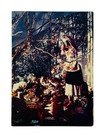 Albania Vintage Circulated Postcard Military Post Fierze To Peshkopi 1978