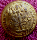 Non Dug Civil War Confederate South Carolina State Seal Vest Button