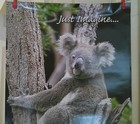 Poster Travel Agency Advertise Collette Vacations Koala Bear Australia 28 x22 