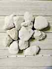 Pumice Stones Pet Guinea Pig Toy Chinchilla Bunny Chew Bites 600pc