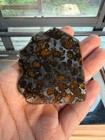 20 6grams Sericho Pallasite Meteorite Slice