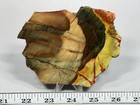 Beautiful Carrasite Jasper Slab  Lot 365