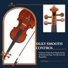 Cecilio Cvn-200 Solidwood Violin With D addario Prelude Strings  1 4 - Nickel