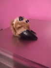 Deer Hoof Folkart Creature Taxidermy Fun Art