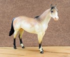 Peter Stone Model Ish Ideal Stock Horse  allegar  Dun Grulla Roan 2006