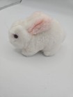 Vintage Dakin 1978 White Bunny Rabbit Plush 6  Stuffed Animal Pink Eyes 