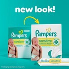 Pampers Sensitive Baby Wipes Unscented  Water Based 1008 Wipes 12 Packs