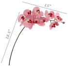 Larksilk 2 Pack Real Touch Pink Silk Orchids - 33 5  Faux Phalaenopsis Orchid   