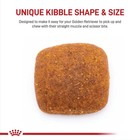 Royal Canin Breed Health Nutrition Golden Retriever Adult Dry Dog Food  30-lb