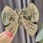 Vintage Crystal Butterfly Brooches  Colorful Gemstone Pins Retro Style For Women