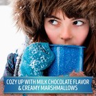 Swiss Miss Chocolate Hot Cocoa Mix With Marshmallows  11 04 Ounce  pack Of 1 