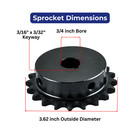 Jeremywell  40 Roller Chain Sprocket 21 Tooth B-hub 3 4  Bore