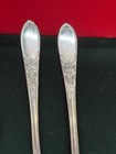 12 Salad Forks Wm  A  Rogers Burgundy   Champagne  Grape Clusters