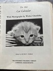 Vintage 1966 Cat Calendar The Berkshire Publishing Co Photos By Walter Chandoha