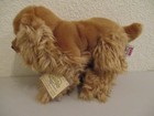 Webkinz Signature Cocker Spaniel Wks1003 Retired Plush New  Sealed  Unused Code