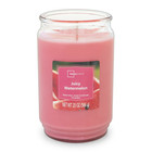 Mainstays Juicy Watermelon Scented Candle Single Wick 20 Oz    