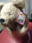Salvino s Bamm Beano s Mark Mcgwire  25  1999 Brown 10  Beanie Bear In Case