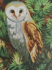 Needlepoint Canvas Collection D Art 40x50 Owl Canvas Only 16x20 Inch