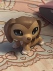 Littlest Pet Shop Custom Dachshund Ooak