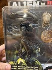 2010 Neca Alien Vs Predator Articulated Action Figure Toys R Us Exclusive 2 Pack